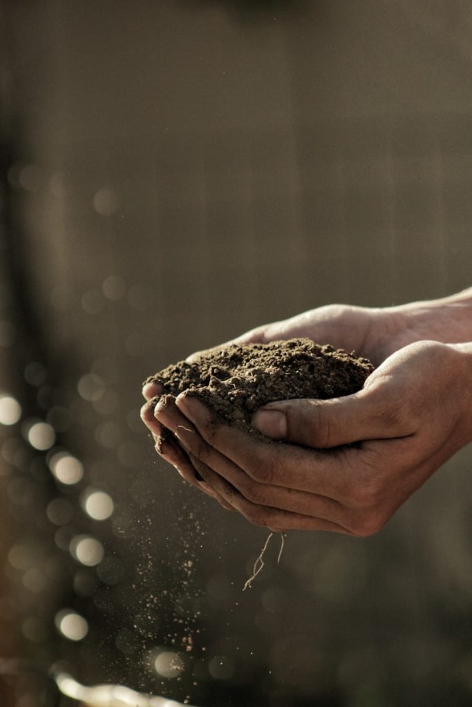 Pilar Alberola Candasnos bokeh photography of person carrying soil